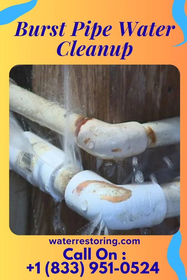 Burst Pipe Water Cleanup in Sand Fork, WV