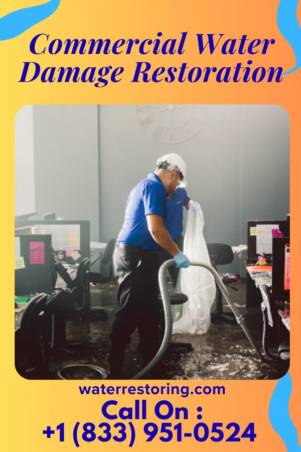 Commercial Water Damage Restoration in Sand Fork, WV