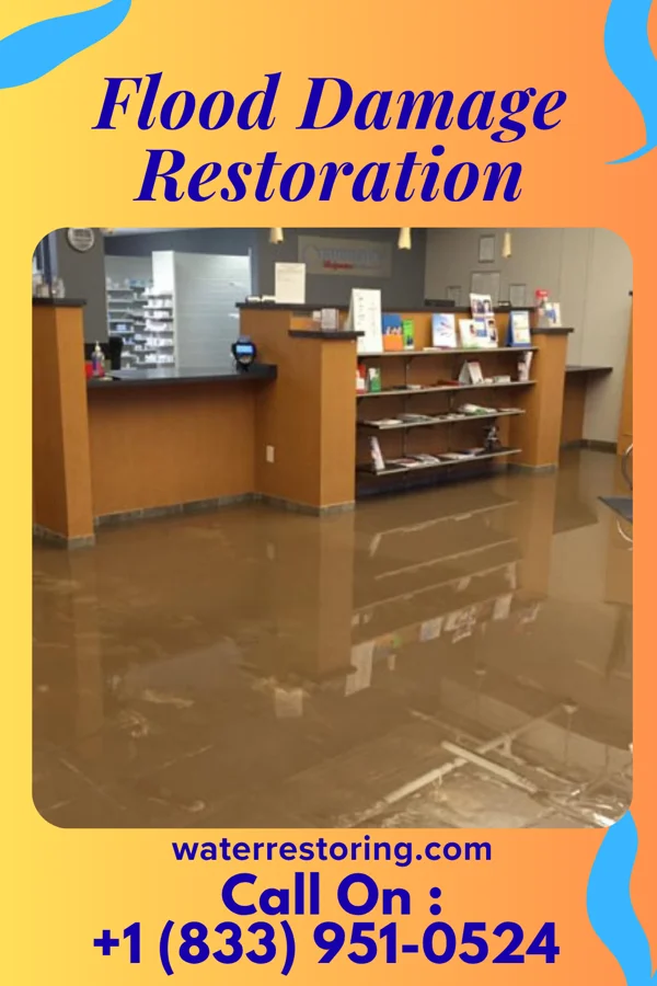 Flood Damage Restoration in Sand Fork, WV