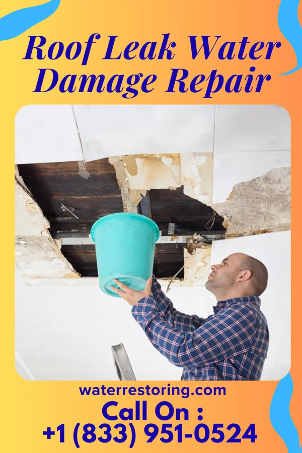 Roof Leak Water Damage Repair in Sand Fork, WV