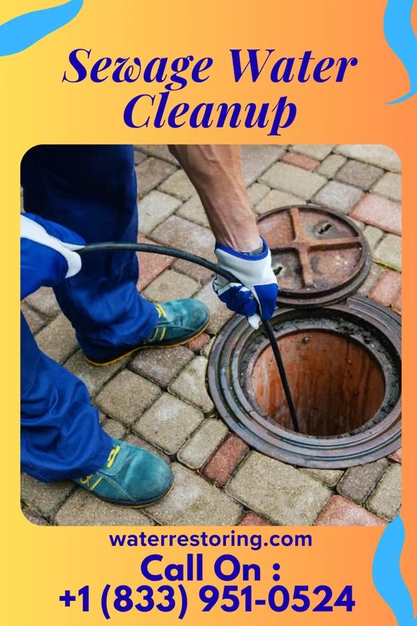 Sewage Water Cleanup in Sand Fork, WV