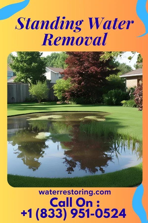 Standing Water Removal in Sand Fork, WV
